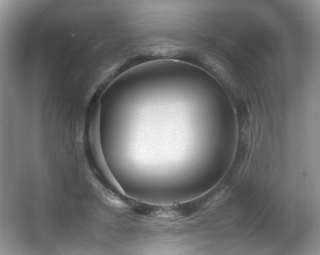 X0000065980403200603031200