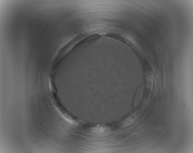 X0000065980404200603031200