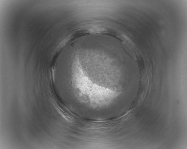 X0000065980405200603031200