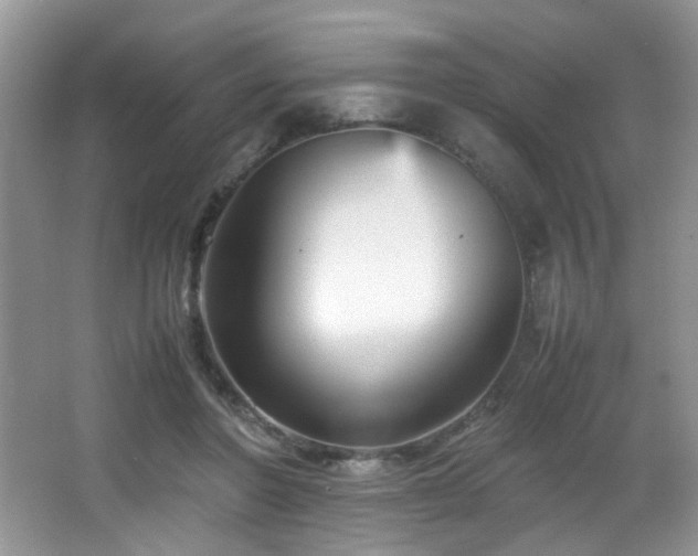 X0000065980406200603031200