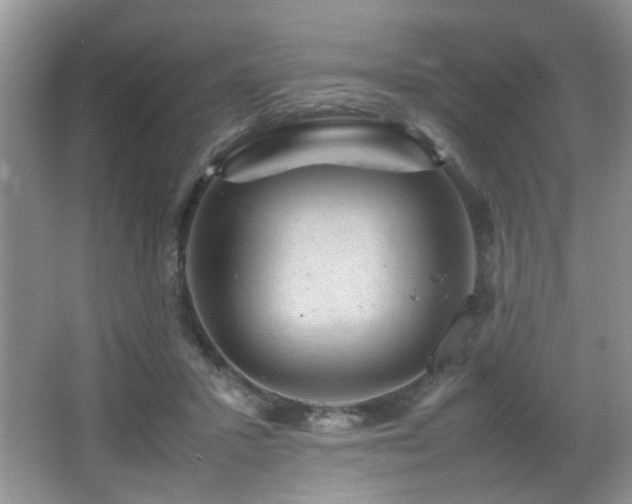 X0000065980407200603031200