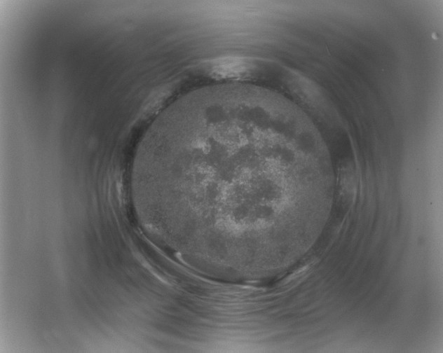 X0000065980408200603031200