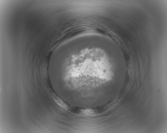 X0000065980409200603031200