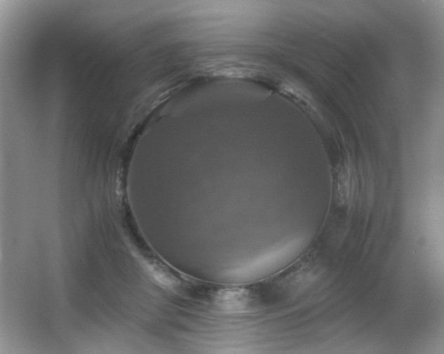 X0000065980410200603031200