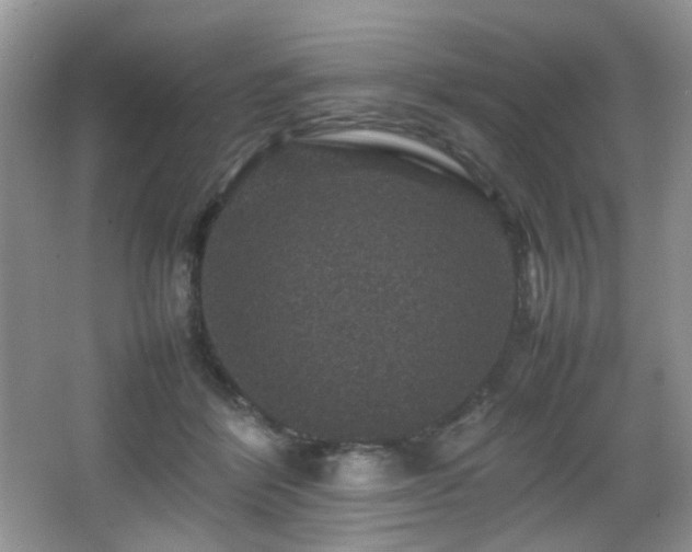 X0000065980412200603031200