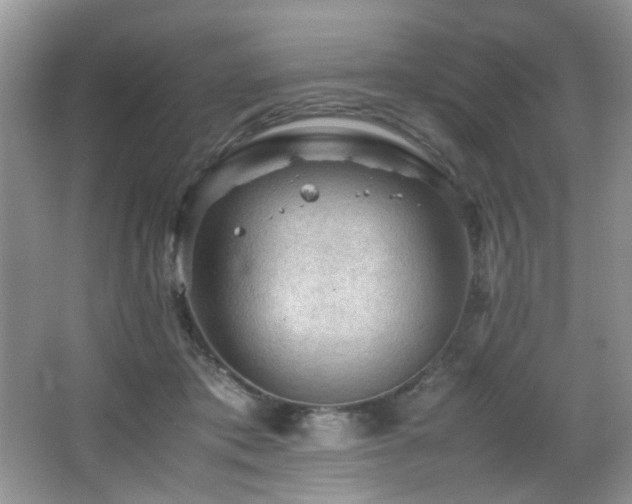 X0000065980413200603031200