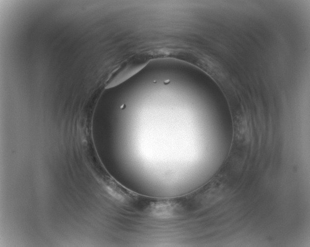 X0000065980414200603031200