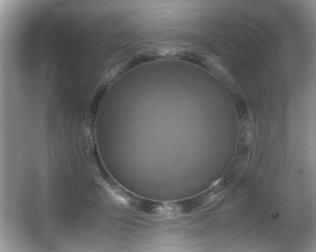 X0000065980415200603031200