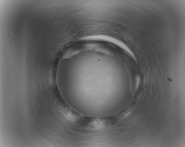 X0000065980416200603031200