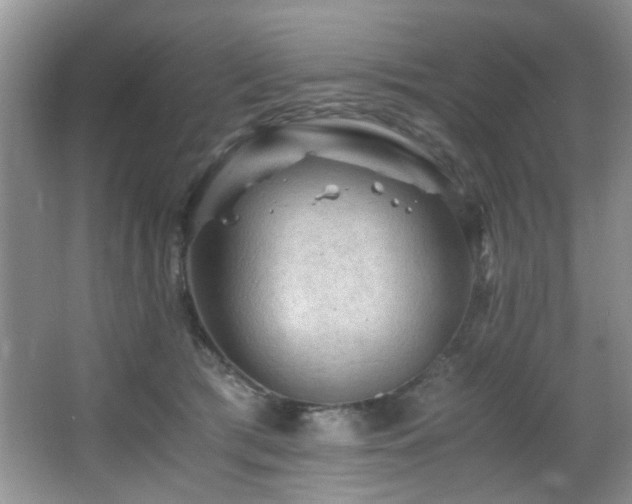 X0000065980417200603031200