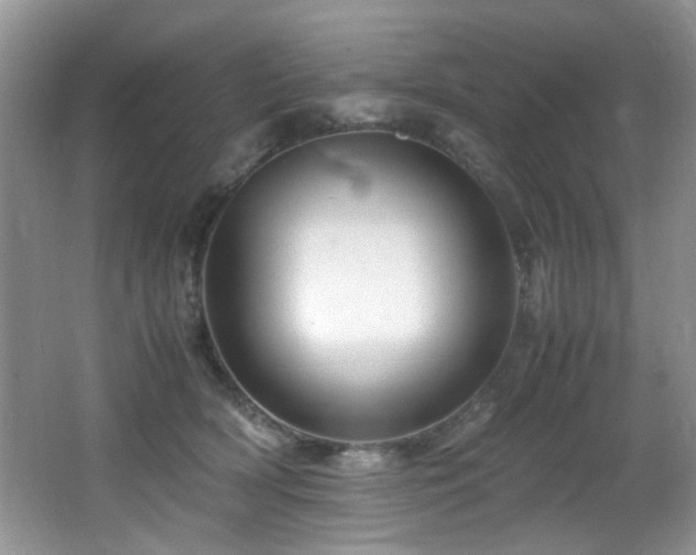 X0000065980418200603031200