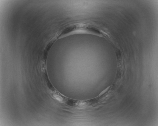 X0000065980419200603031200