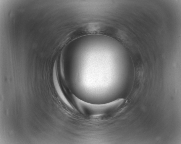 X0000065980421200603031159