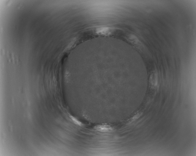 X0000065980424200603031159