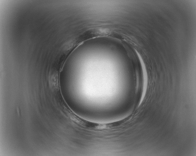 X0000065980425200603031159