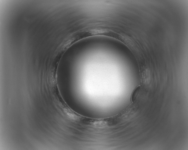 X0000065980426200603031159