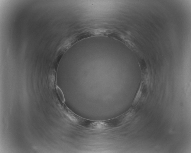 X0000065980427200603031159