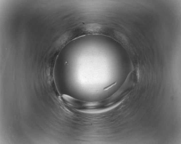 X0000065980428200603031159