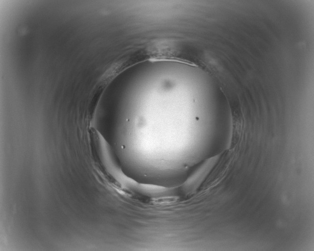 X0000065980429200603031159