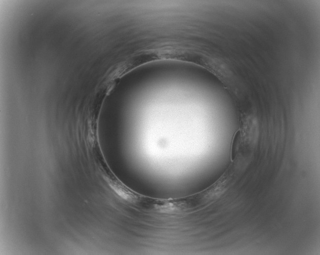 X0000065980430200603031159