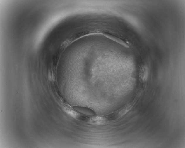 X0000065980431200603031159