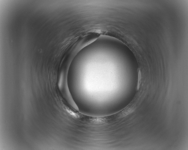 X0000065980432200603031159