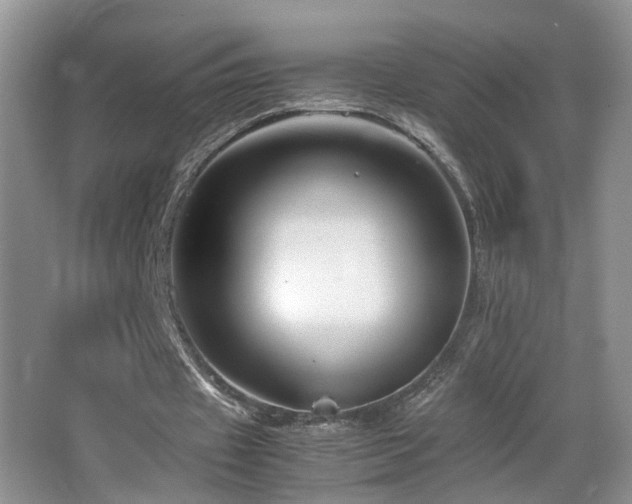 X0000065980433200603031158