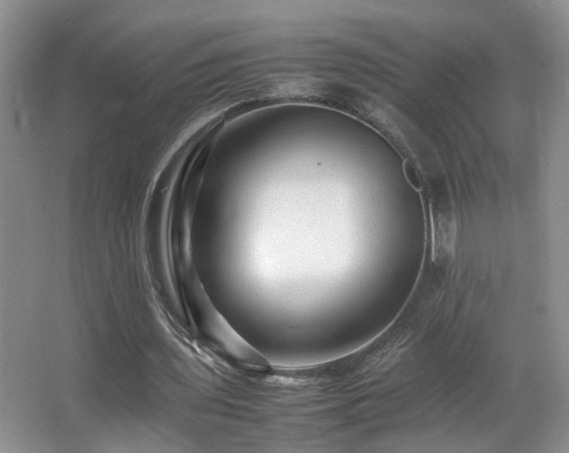 X0000065980435200603031159