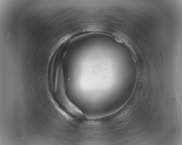 X0000065980437200603031159