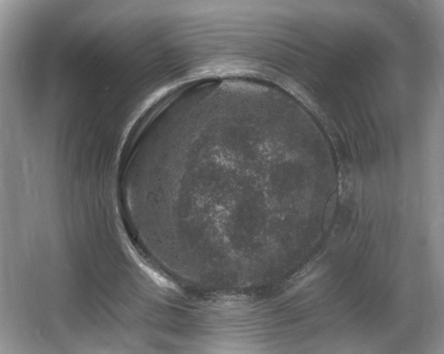 X0000065980438200603031159