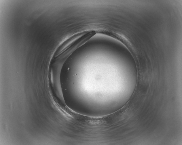 X0000065980439200603031159