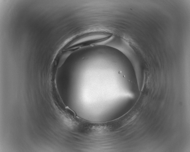 X0000065980440200603031159