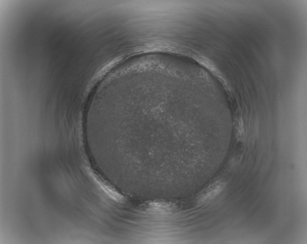 X0000065980442200603031159