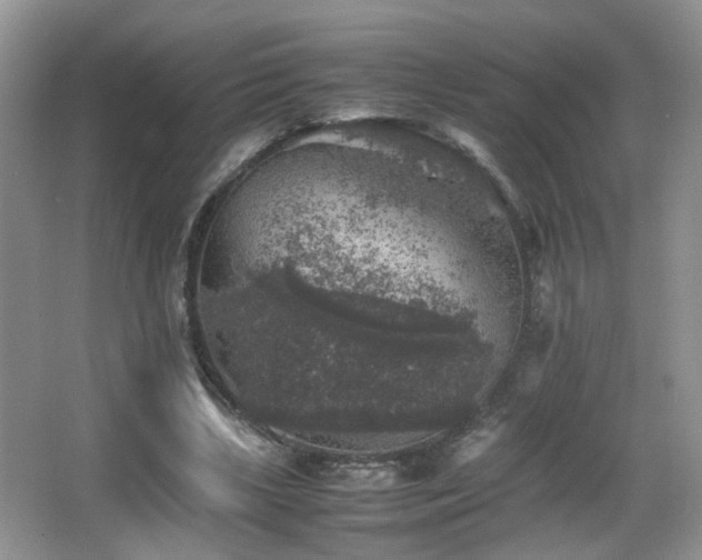 X0000065980443200603031159