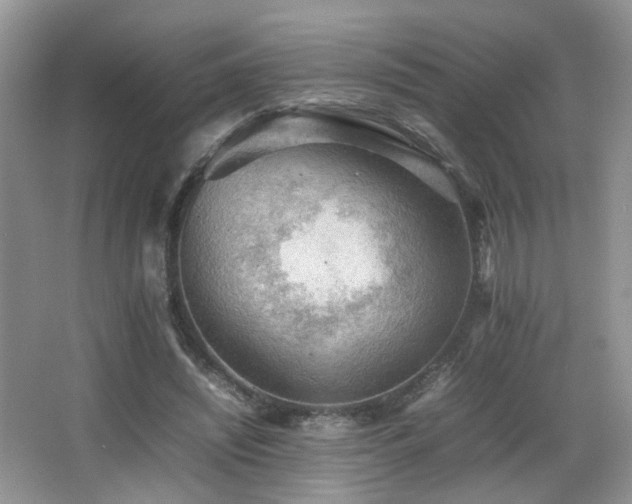 X0000065980444200603031159