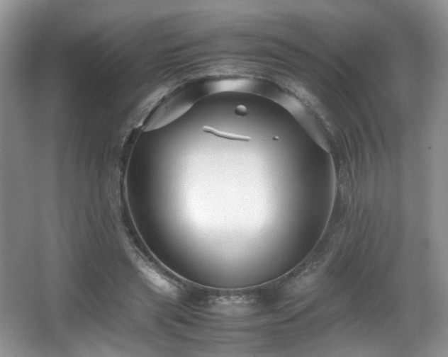 X0000065980445200603031159