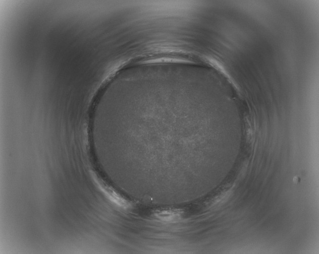 X0000065980447200603031159