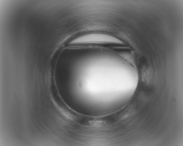 X0000065980448200603031159