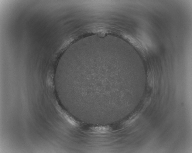 X0000065980449200603031159