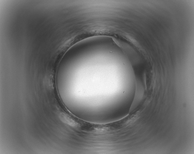 X0000065980450200603031159