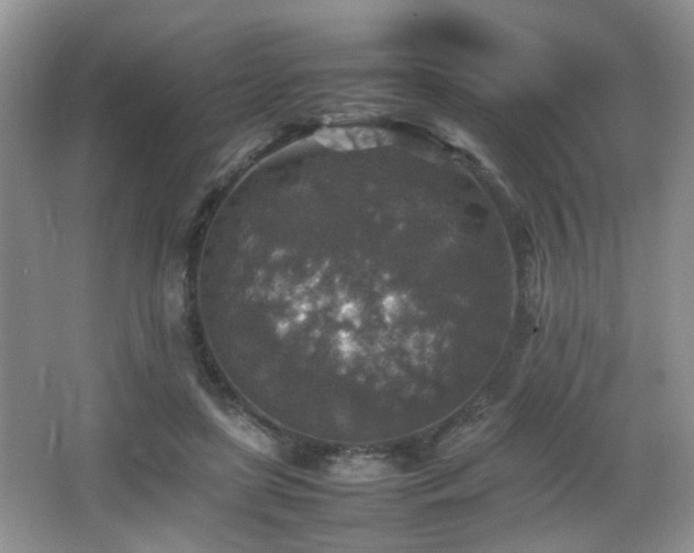 X0000065980451200603031159