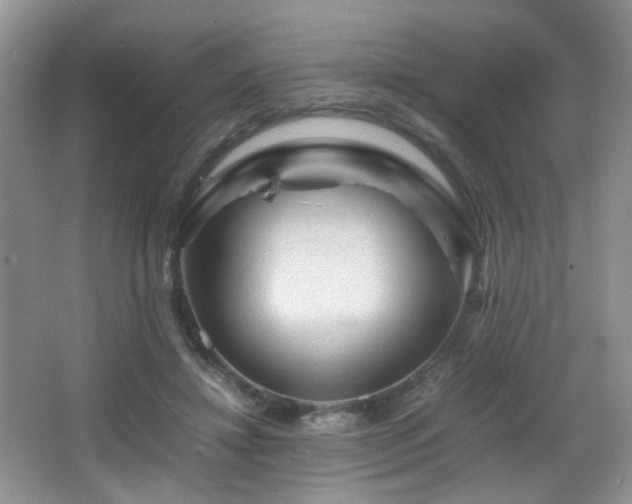 X0000065980452200603031159