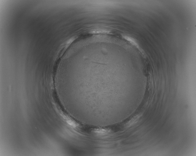 X0000065980453200603031159