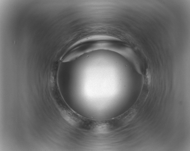 X0000065980456200603031159