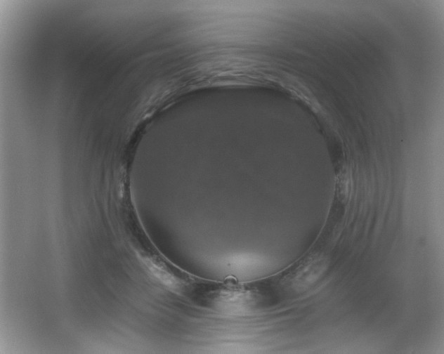 X0000065980458200603031159