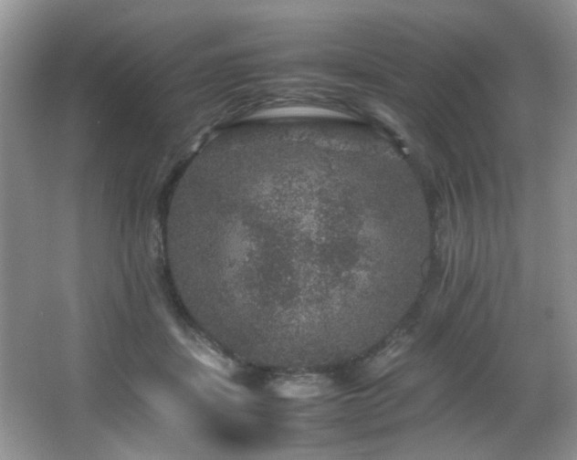 X0000065980459200603031159