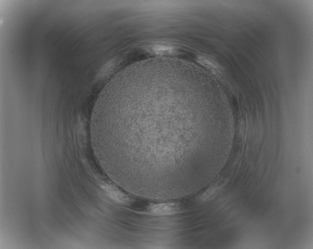 X0000065980461200603031159