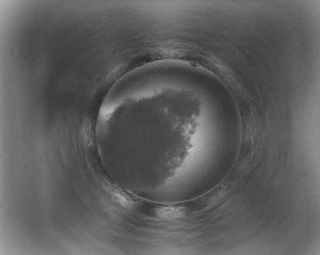 X0000065980465200603031159