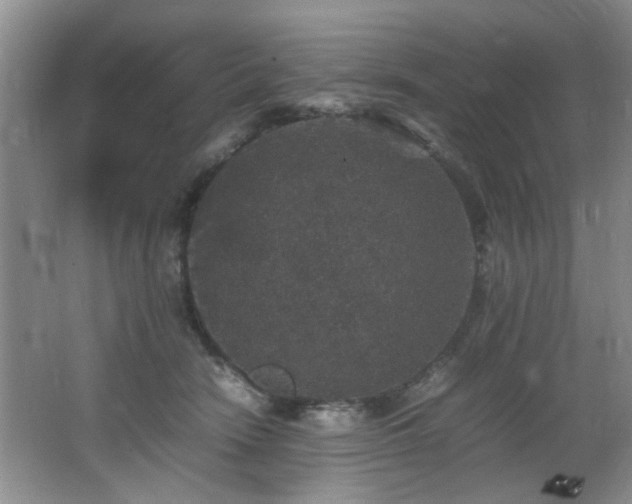 X0000065980466200603031159