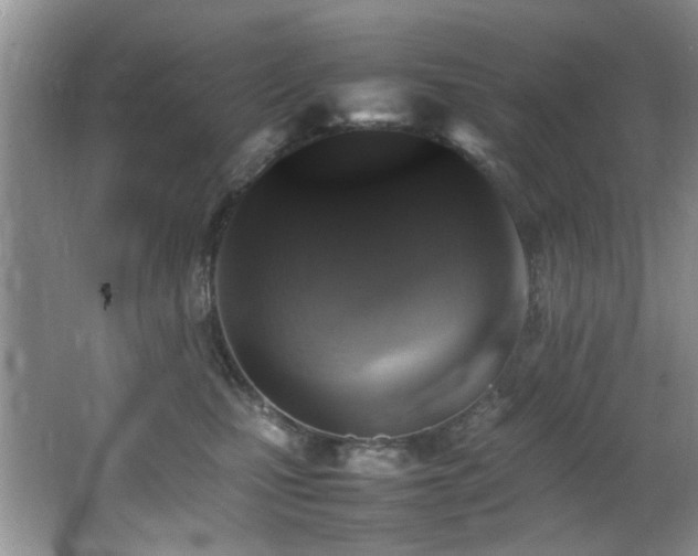 X0000065980471200603031159